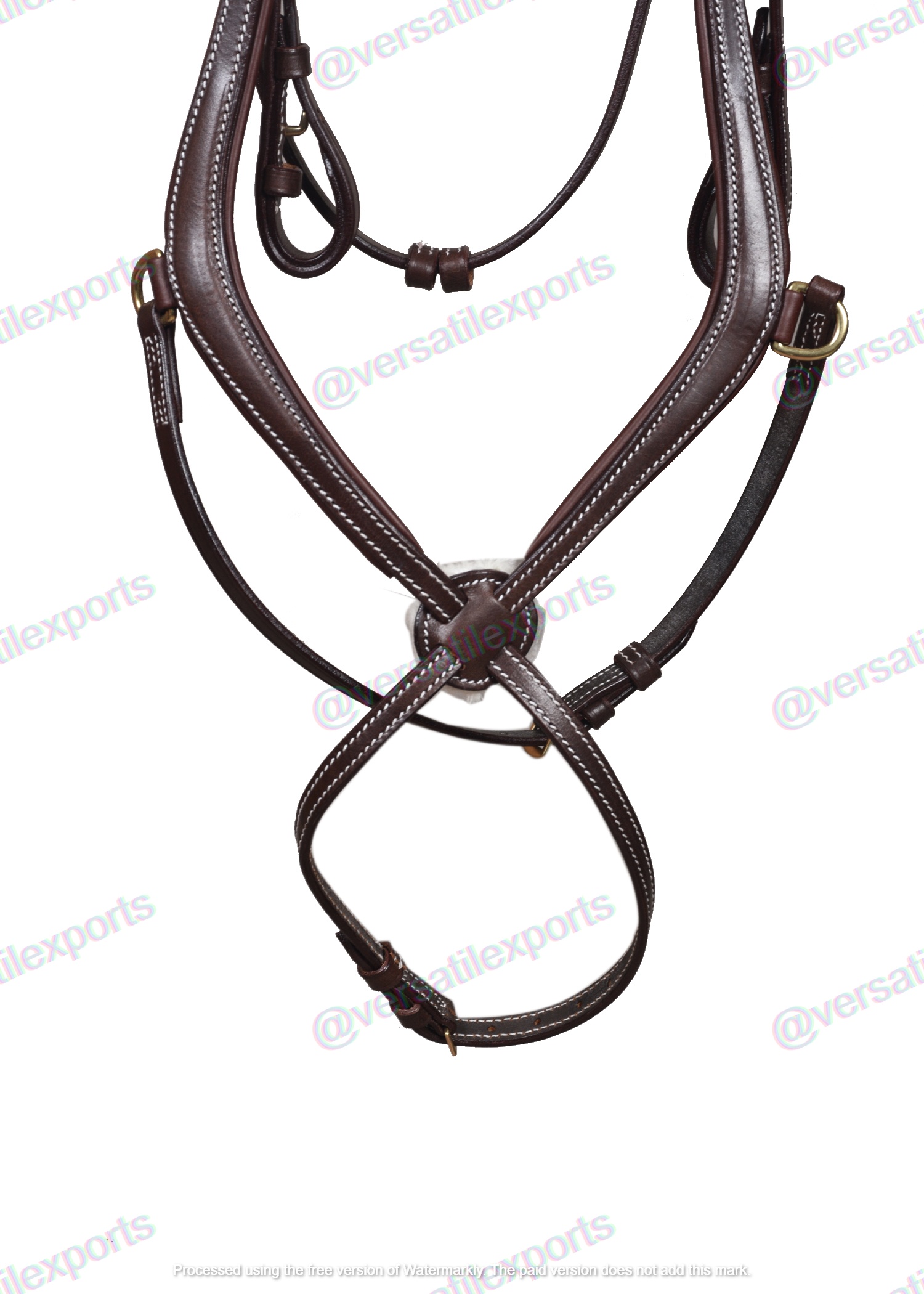 Figure 8 Bridle